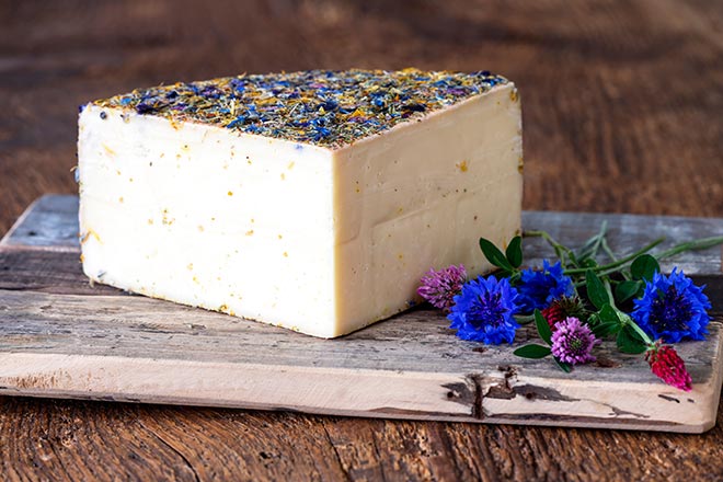 Appenzeller cheese dairy